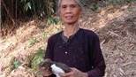 "Bà chủ" vườn cò được vinh danh giải môi trường